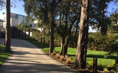 Garden Maintenance Sandbanks