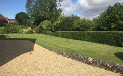 Grass Cutting Tarrant Monkton