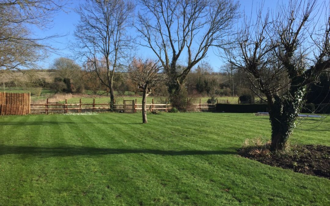 New Lawn Tarrant Monkton, Dorset
