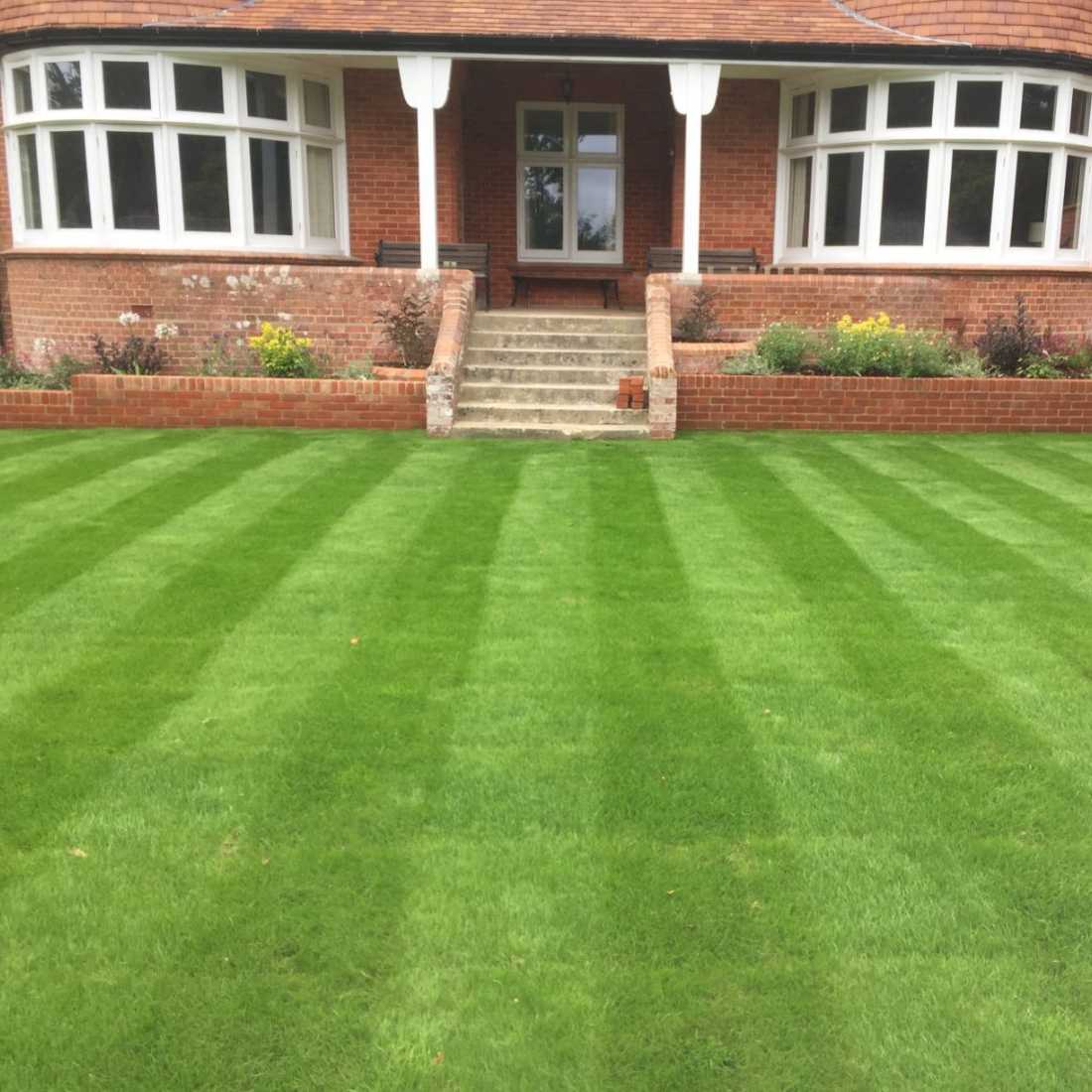 grass cutting in wimborne