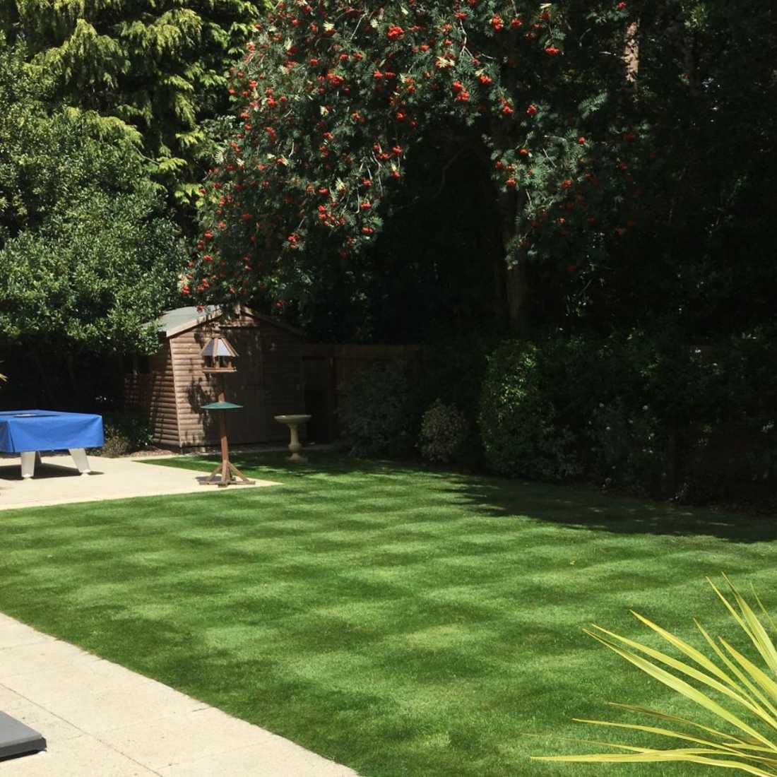 Lawn Care Poole