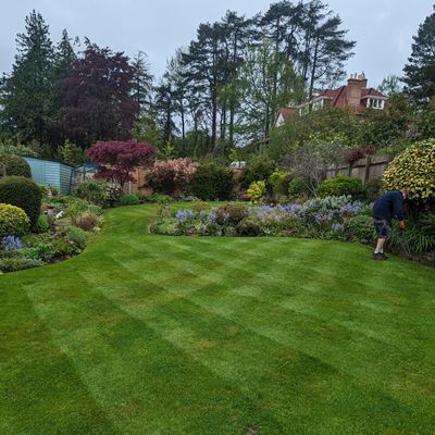bournemouth garden maintenance
